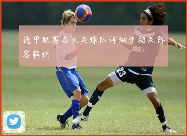 德甲联赛各大足球队详细介绍及阵容解析