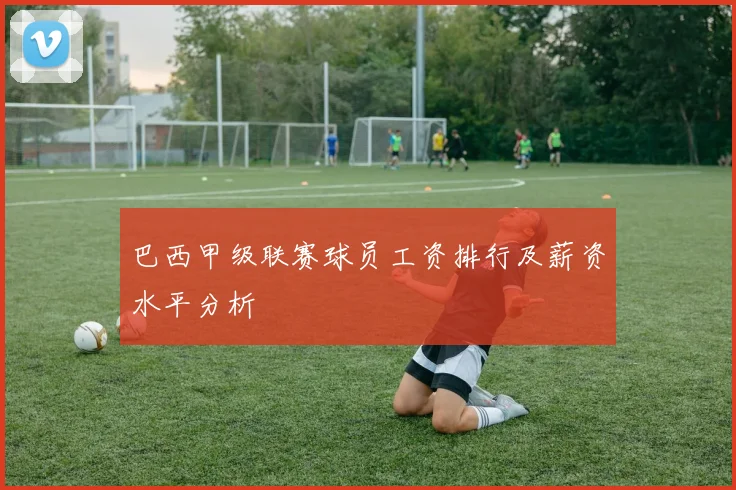 巴西甲级联赛球员工资排行及薪资水平分析