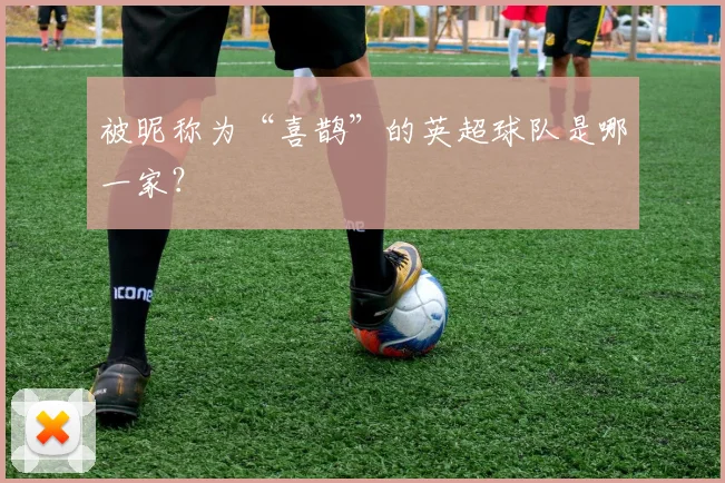 被昵称为“喜鹊”的英超球队是哪一家？