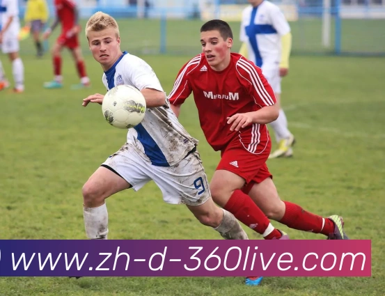 360直播平台生态图