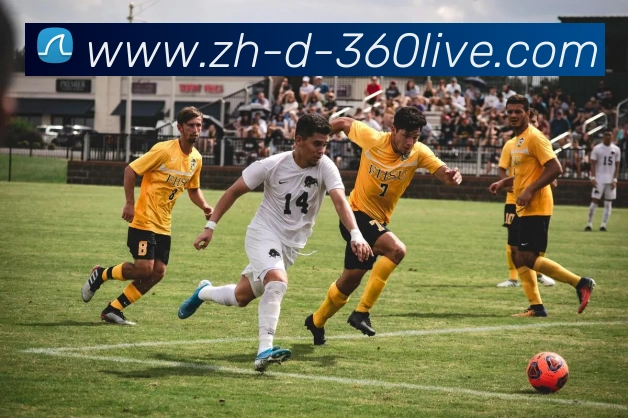 360直播APP 封面图